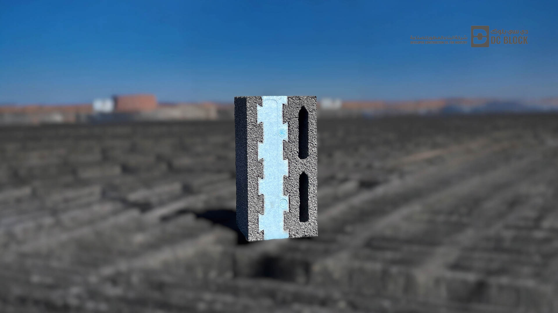 (1)