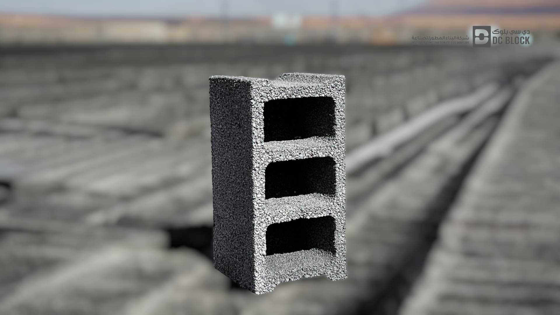 (11)