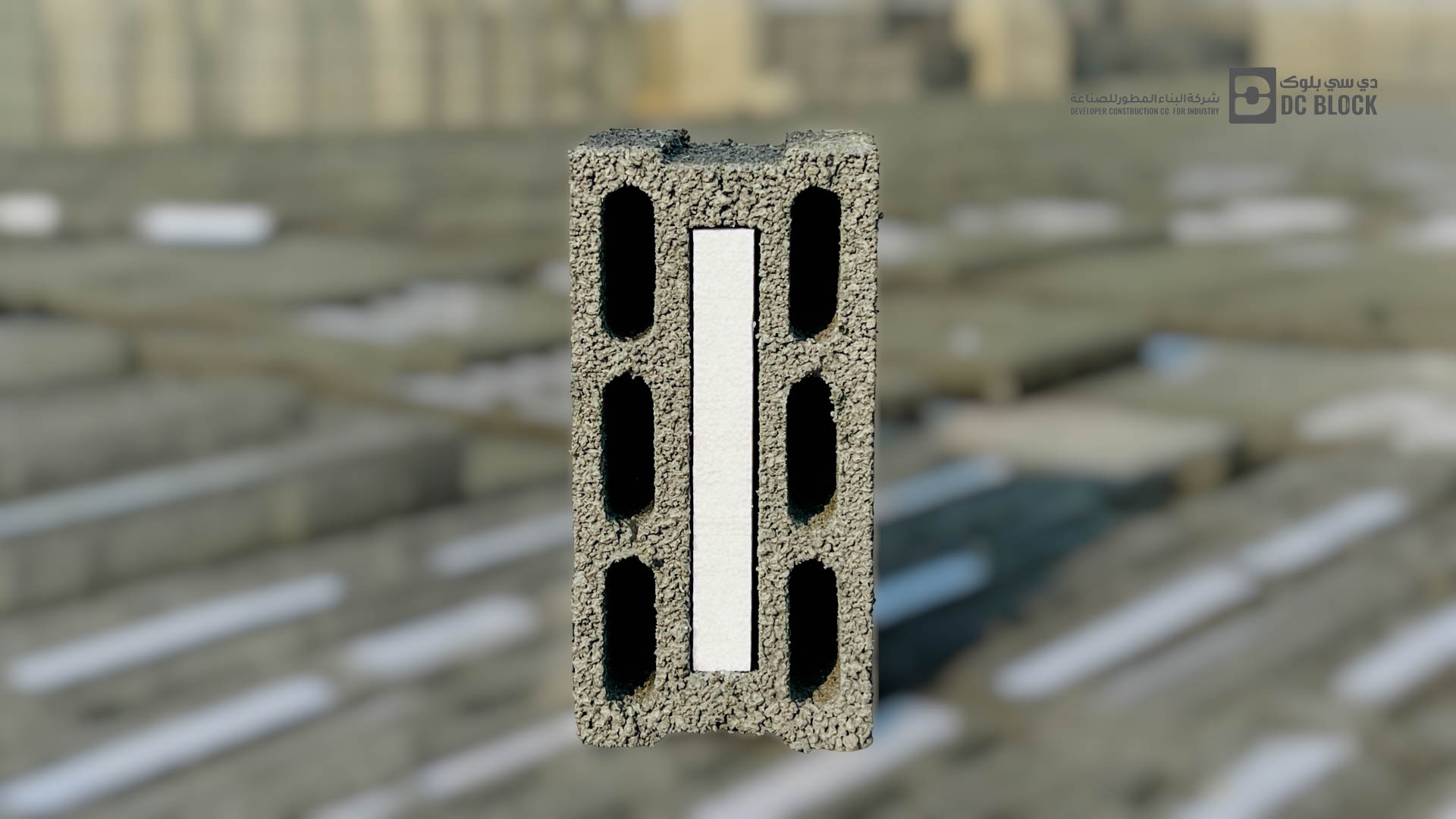 (3)